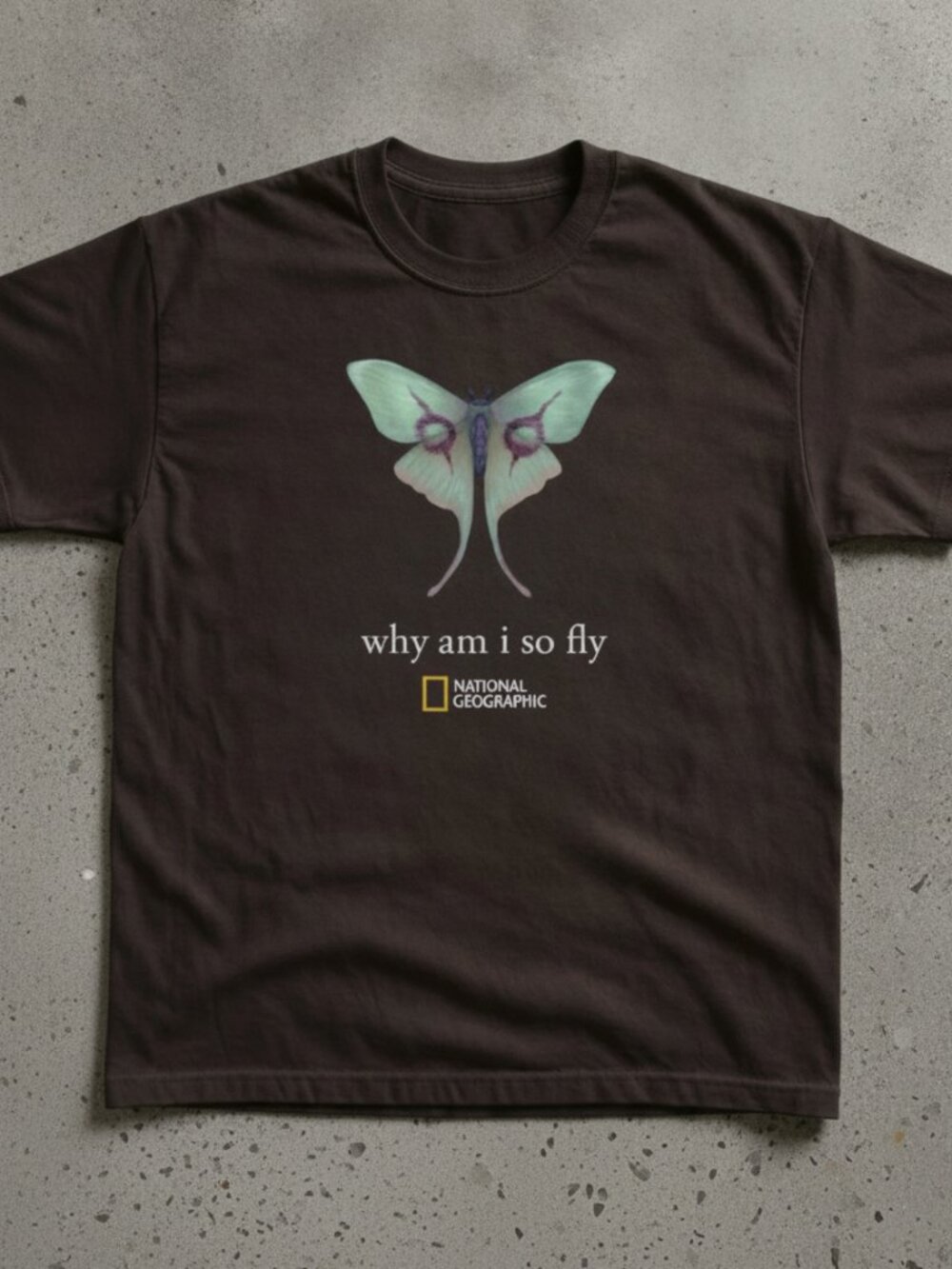 Butterfly Why Am I So Fly Graphic T-Shirt Black Y2K Nature Aesthetic Tee